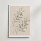 Trailing Olive Sprig affisch inramad i neutral ram – konsttryck från Bozetto – nr 1