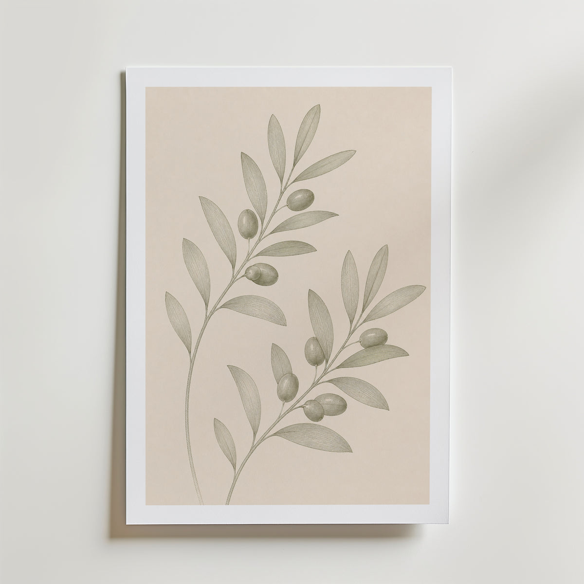 Trailing Olive Sprig affisch inramad i neutral ram – konsttryck från Bozetto – nr 1
