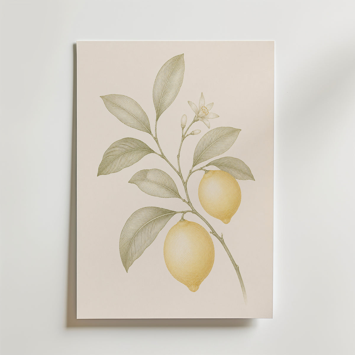 Sunlit Citrus affisch inramad i neutral ram – se hur konsttrycket ser ut, Bozetto