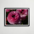 Pink Heaven affisch i modern svart ram – stark kontrast och stil, Bozetto poster
