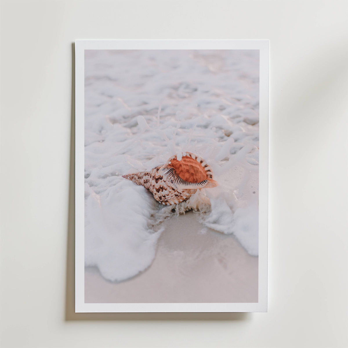Seashell Mist – stilfullt konsttryck från Bozetto, tryckt på matt finpapper i hög tryckkvalitet