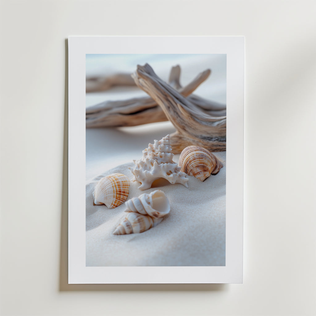 Seashells on the Beach – stilfullt konsttryck från Bozetto, tryckt på matt finpapper