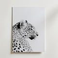 Black and White Leopard – stilfullt konsttryck från Bozetto, tryckt på matt finpapper