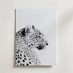 Black and White Leopard – stilfullt konsttryck från Bozetto, tryckt på matt finpapper