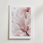 Blush Rose Magnolia Flower – stilfullt konsttryck från Bozetto, tryckt på matt finpapper