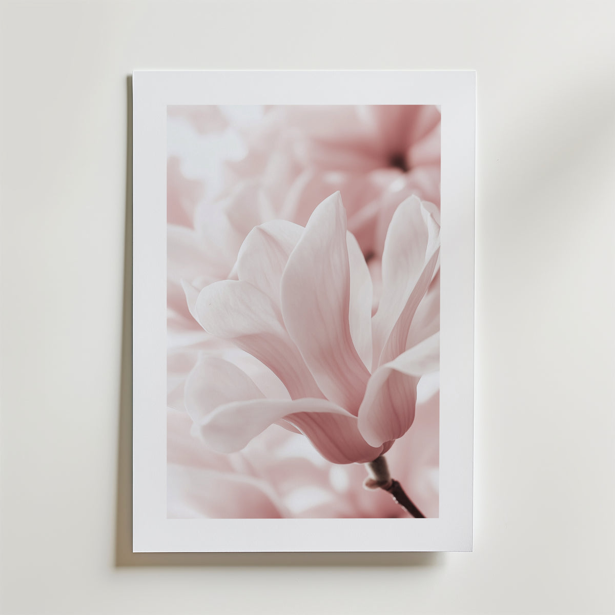 Blush Rose Magnolia Flower – stilfullt konsttryck från Bozetto, tryckt på matt finpapper