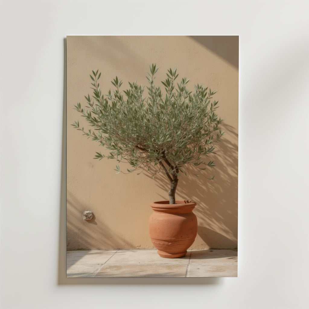 Potted olive tree – stilfullt konsttryck från Bozetto, tryckt på matt finpapper i hög tryckkvalitet