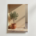 Terracotta planter with olive – stilfullt konsttryck från Bozetto, tryckt på matt finpapper