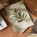 Olive branch decor stem – affisch med stilfullt motiv från Bozetto i hög kvalitet