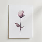 Elegant pink rose stem – stilfullt konsttryck från Bozetto, tryckt på matt finpapper