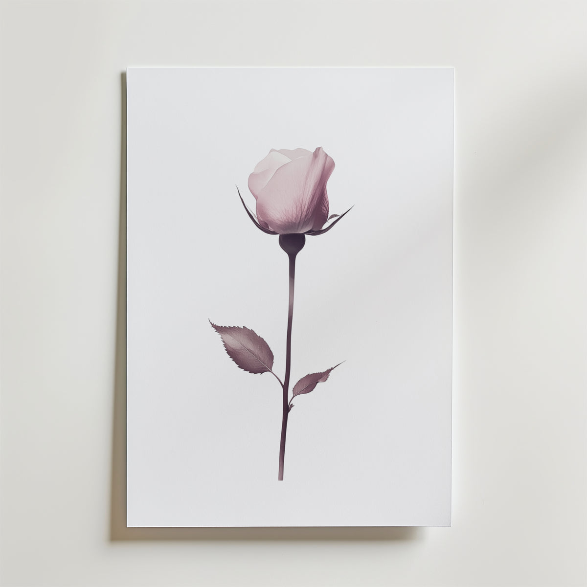 Elegant pink rose stem – stilfullt konsttryck från Bozetto, tryckt på matt finpapper
