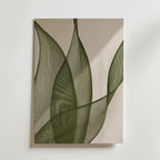 Veiled Agave affisch inramad i neutral ram – se hur konsttrycket ser ut, Bozetto