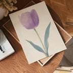 Purple tulip poster visad rakt fram – Bozetto affisch i hög tryckkvalitet i hög tryckkvalitet
