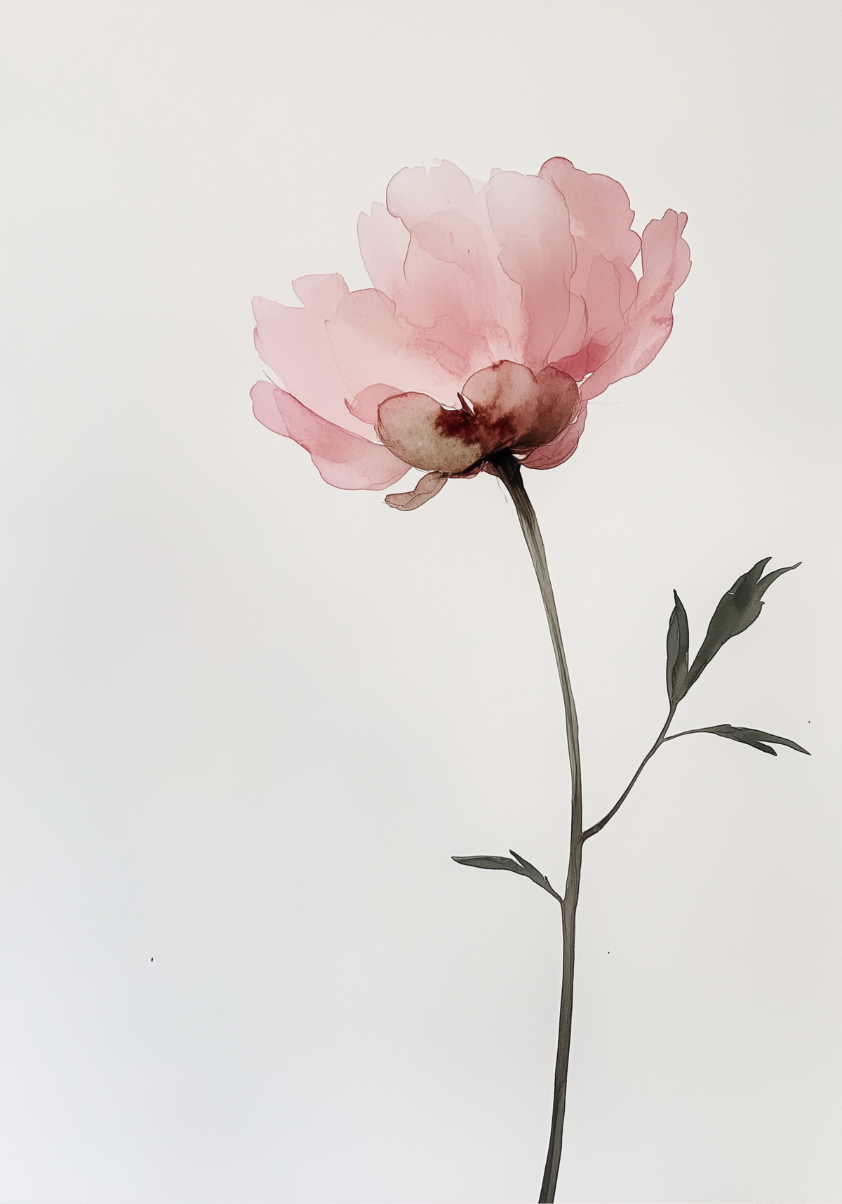 White Rose Elegance – affisch med snyggt motiv, köp enkelt hos Bozetto i flera storlekar