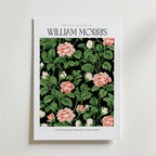 William Morris Rose Garden Bloom affisch på neutral bakgrund – poster från Bozetto