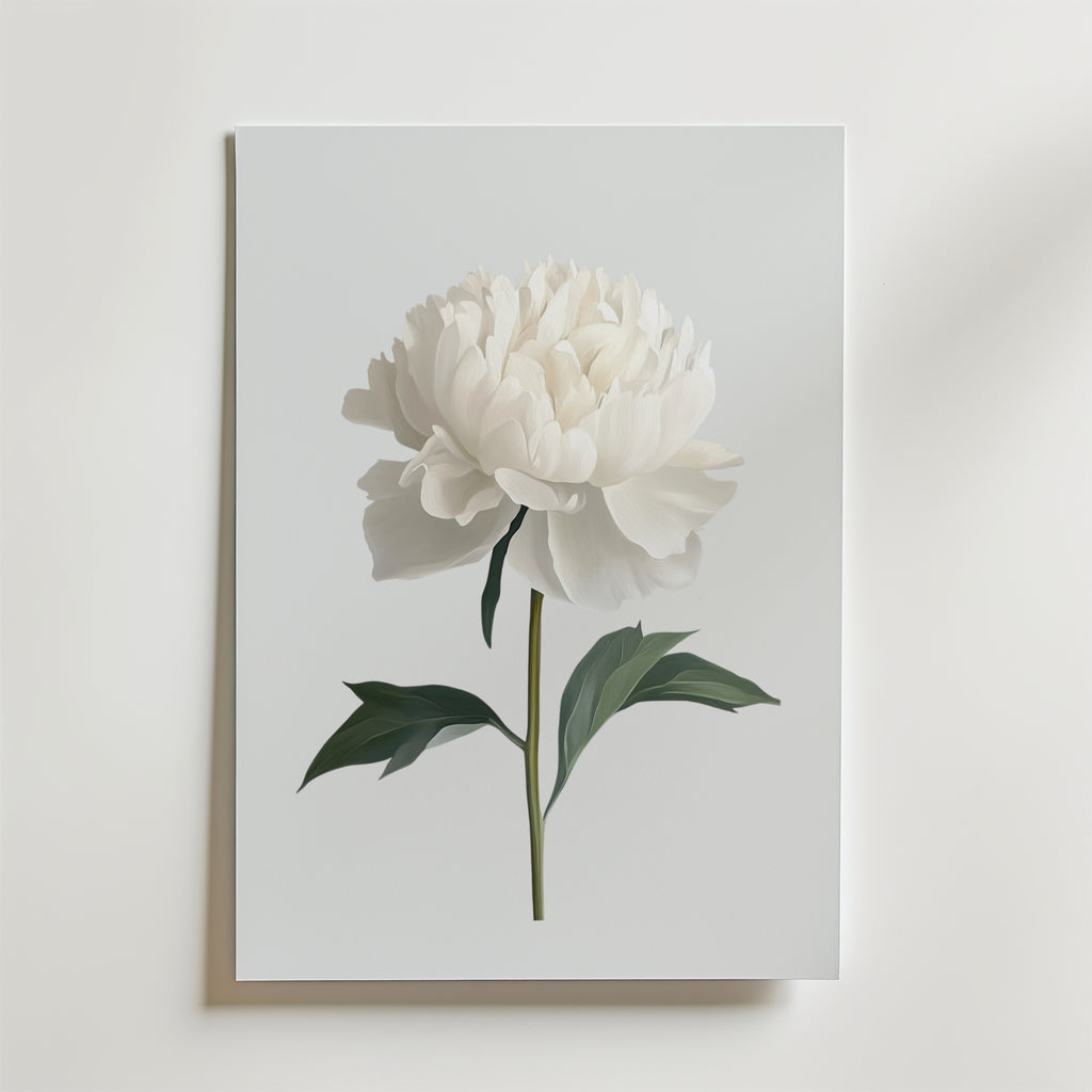 White peony – stilfullt konsttryck från Bozetto, tryckt på matt finpapper i hög tryckkvalitet