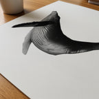 Breaching Whale Poster – närbild på papper