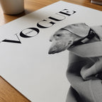 Wrapped Wool Hound Poster – närbild på papper