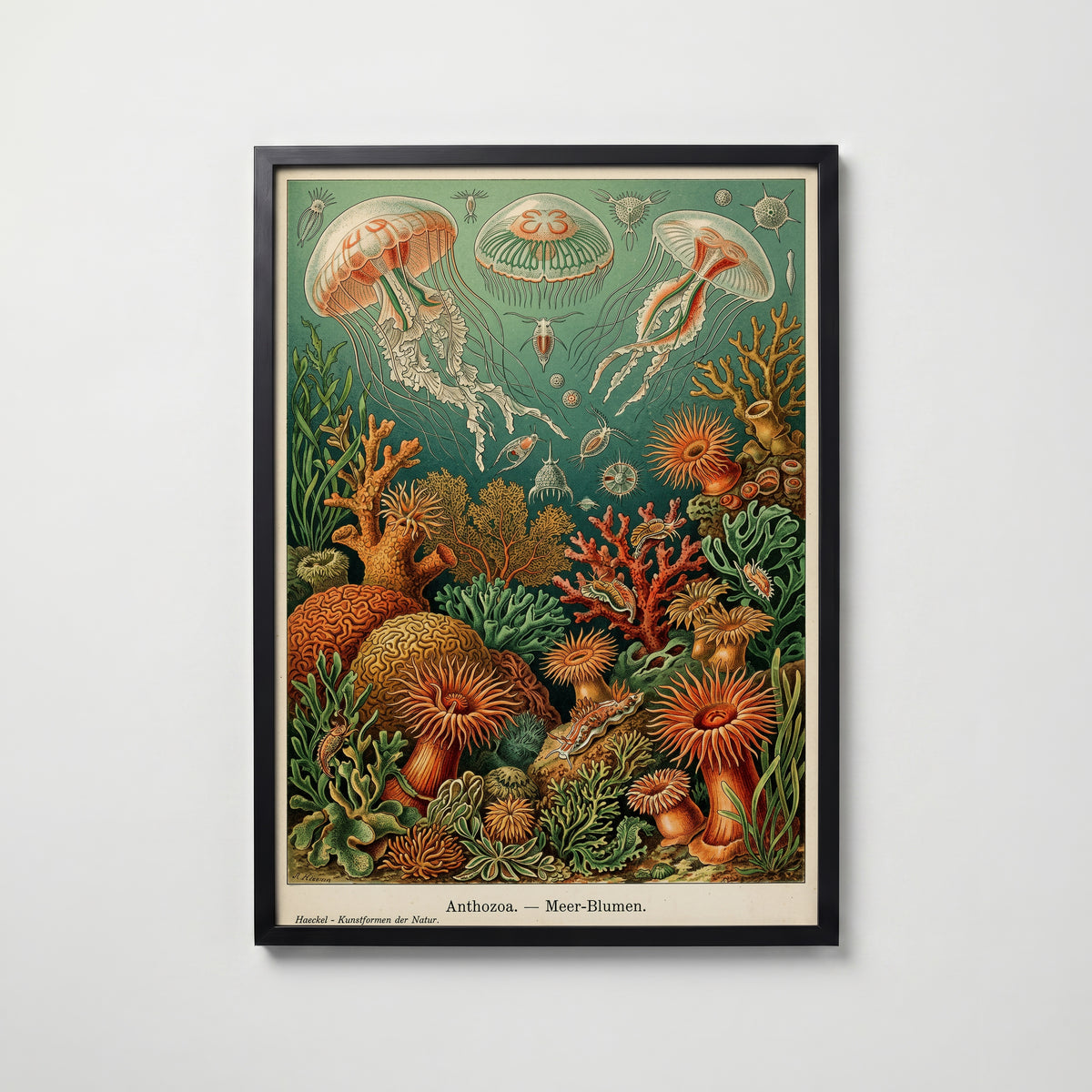 Deep Sea Bloom Poster i hemmiljö