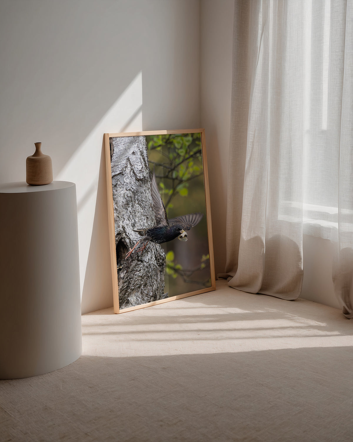 Dipers Starling Poster – ramad produktbild av Jessica Erlandsson