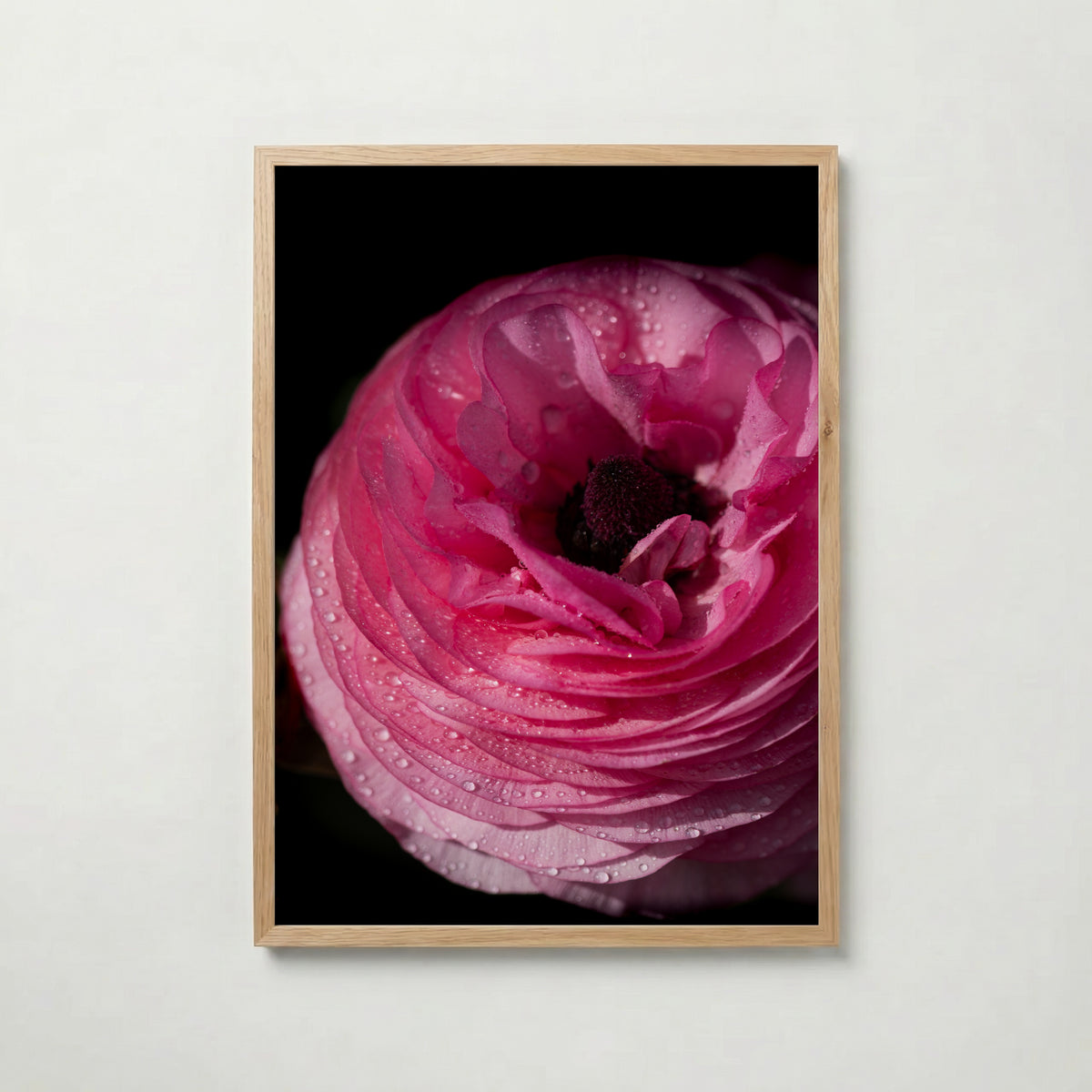 Dreamy Ranunculus Poster med ekram