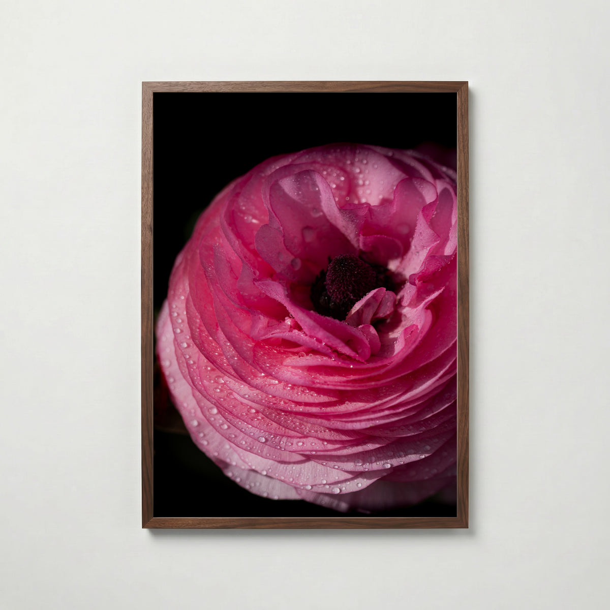 Dreamy Ranunculus Poster i vardagsrumsmiljö