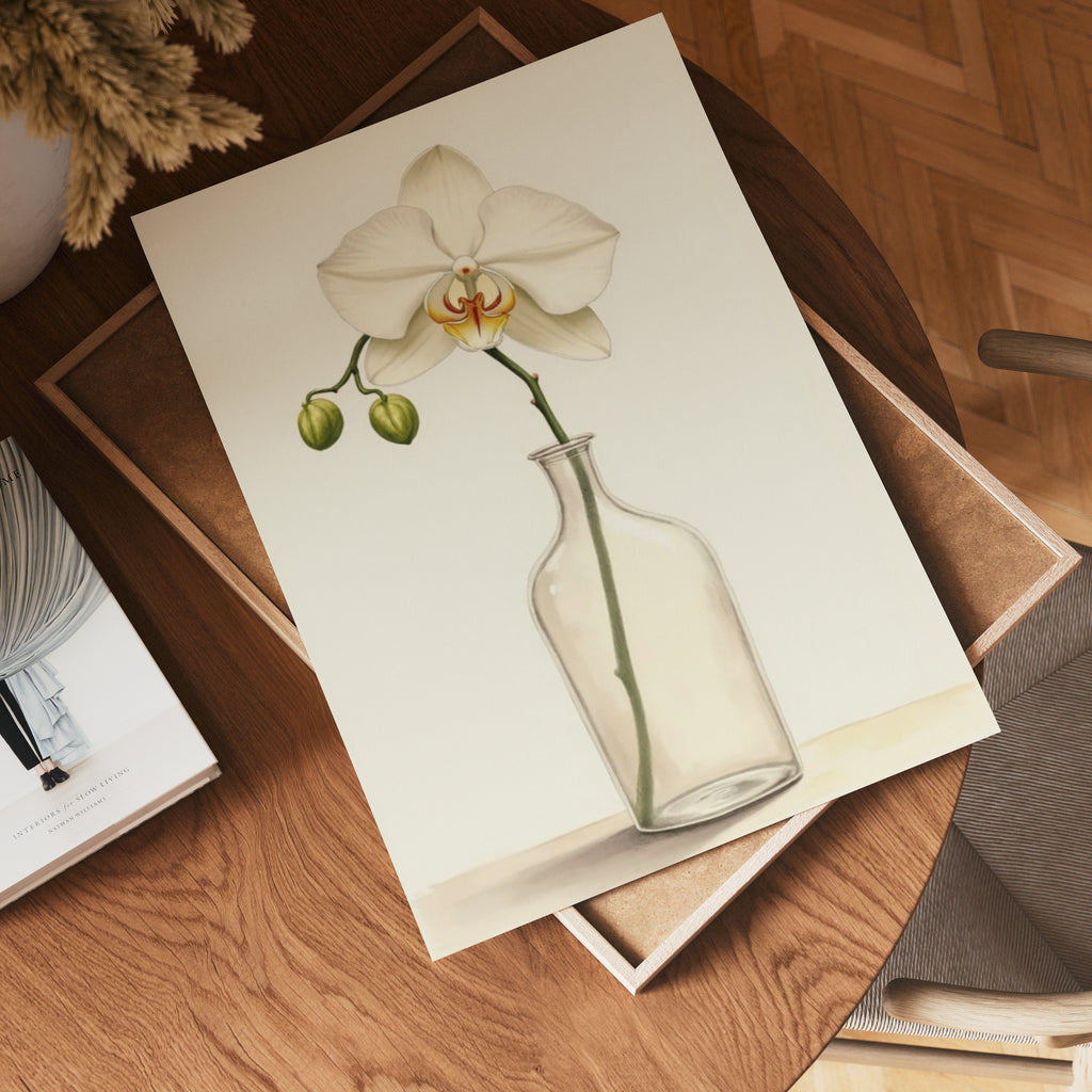 Elegant White Orchid In Glass poster visad rakt fram – Bozetto affisch i hög tryckkvalitet