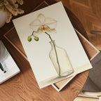 Elegant White Orchid In Glass poster visad rakt fram – Bozetto affisch i hög tryckkvalitet
