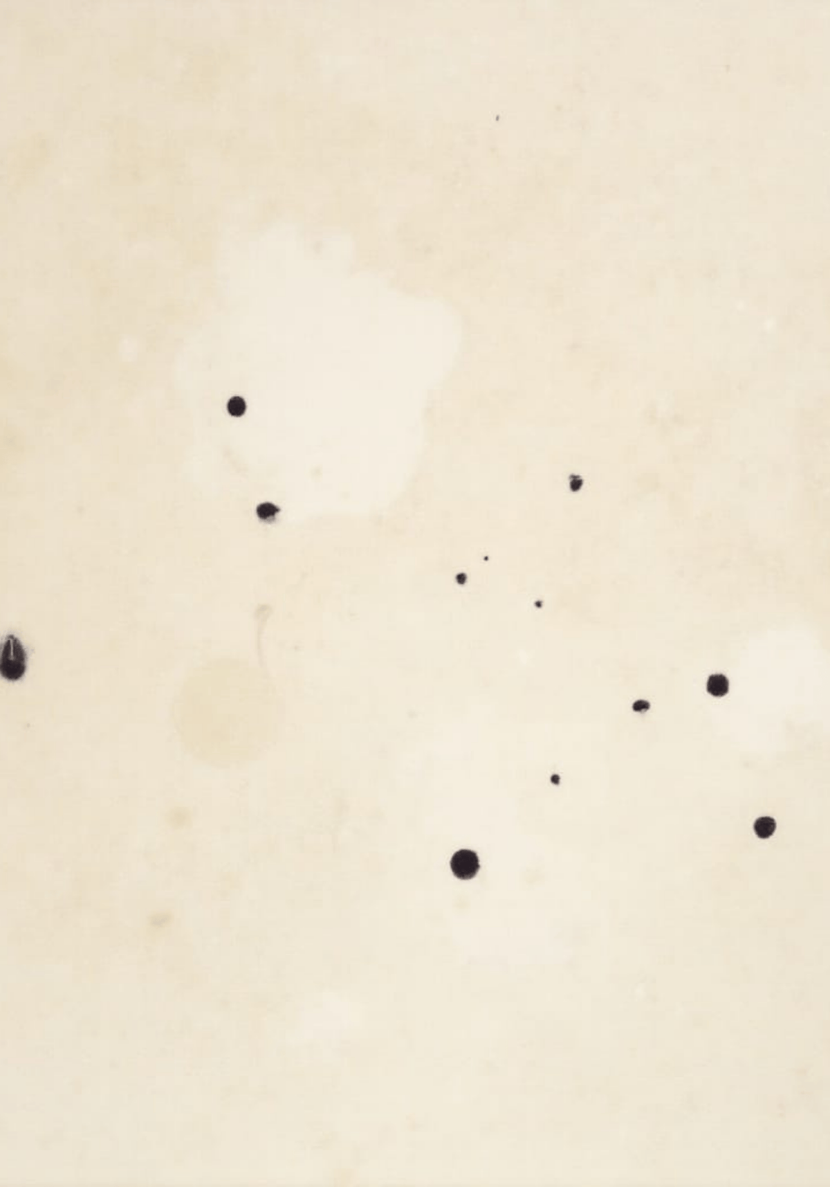 Abstract Beige No.2 – affisch med snyggt motiv, köp enkelt hos Bozetto i flera storlekar