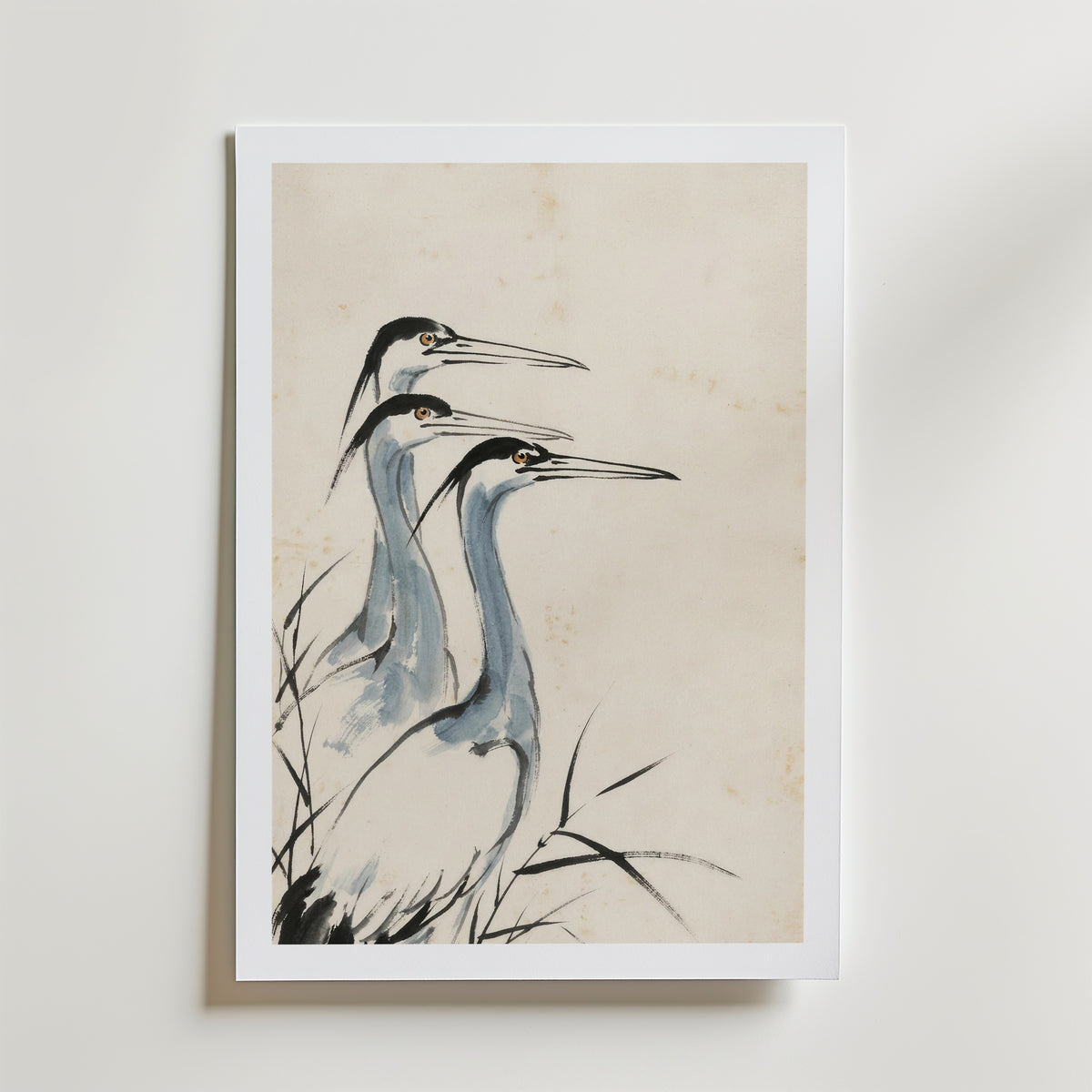Ink Herons Poster med passepartout