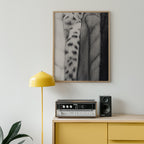 Soft Pelt Layers Poster – i rum 3