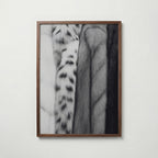 Soft Pelt Layers Poster – valnötsram
