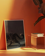 Leopard In Stride Poster – i rum 1