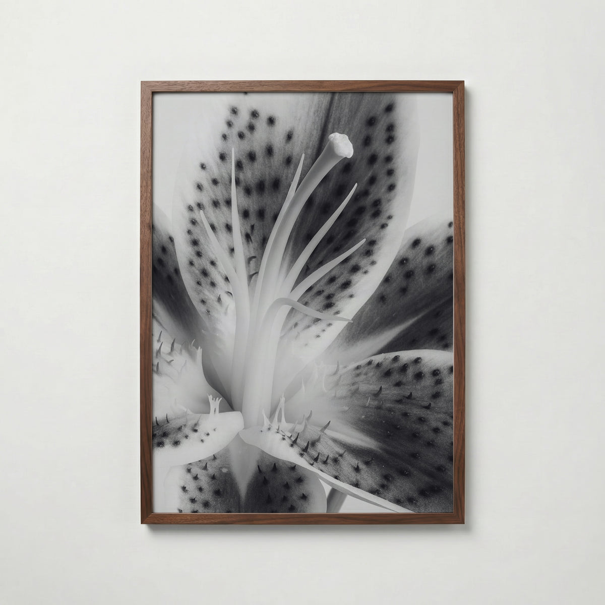 Lily In Bloom Poster – valnötsram