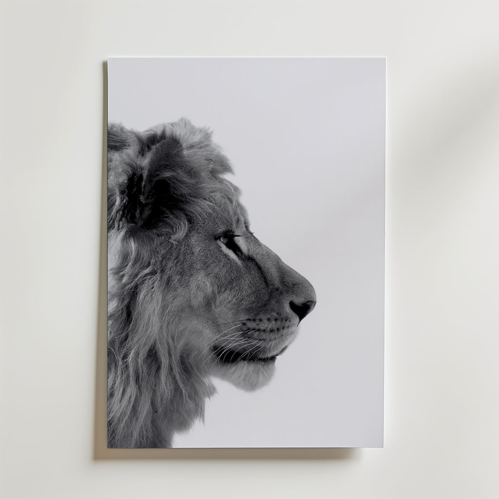 Lion In Profile Poster – canvas utan passepartout