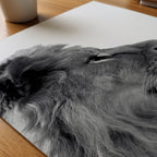 Lion In Profile Poster – närbild på papper