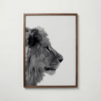 Lion In Profile Poster – valnötsram