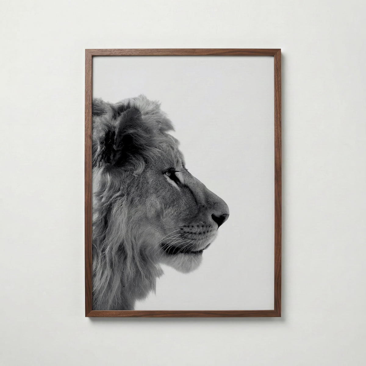 Lion In Profile Poster – valnötsram