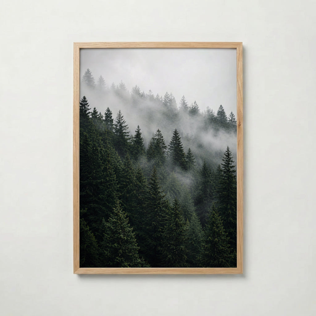 Plakat z zamglonym lasem sosnowym