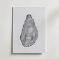 Silver Oyster Pearl Poster – canvas utan passepartout