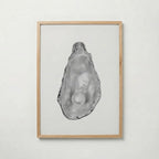 Silver Oyster Pearl Poster – ekram