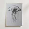 Drifting Jellyfish Sketch Poster – canvas utan passepartout