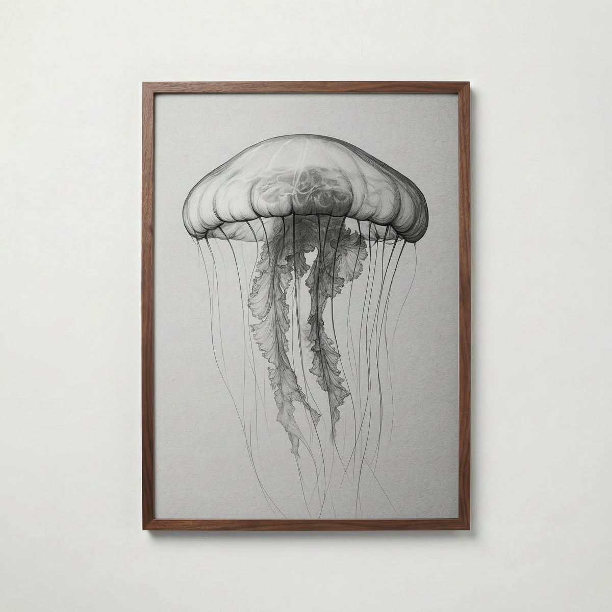 Drifting Jellyfish Sketch Poster – valnötsram