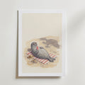 Seal of Approval Poster – med passepartout