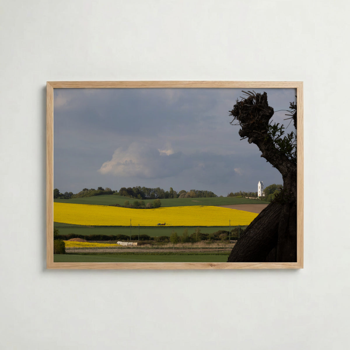Skåne Covered in Yellow Poster i hemmiljö