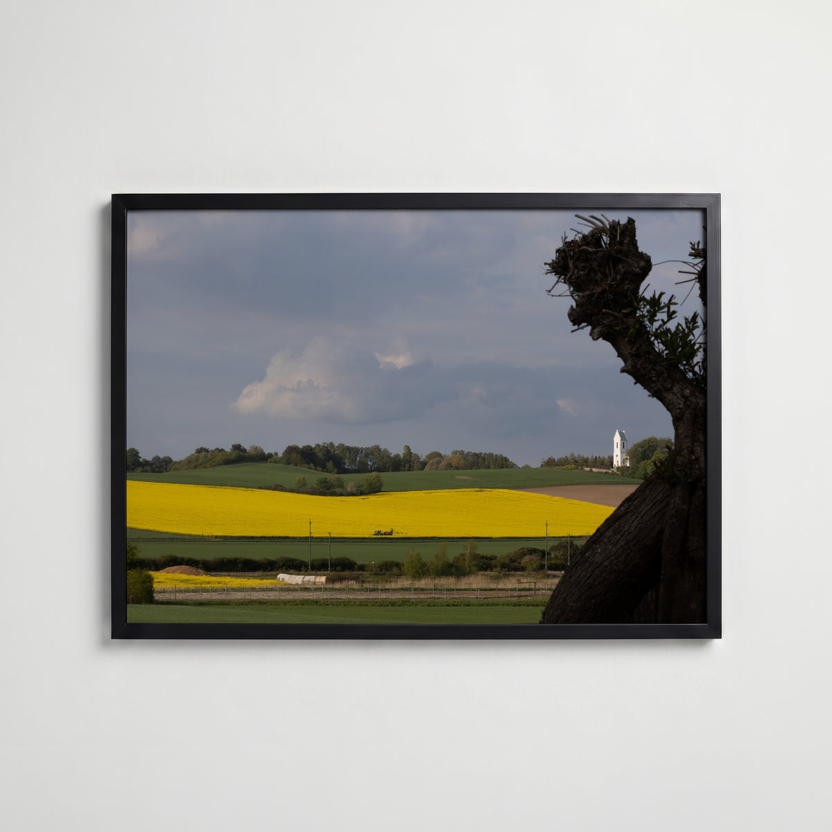 Skåne Covered in Yellow Poster i vardagsrumsmiljö