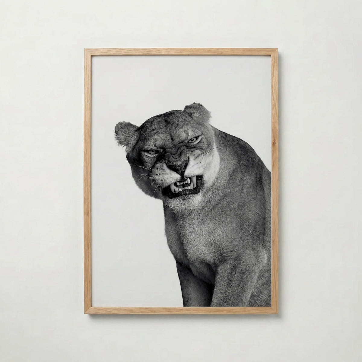 Snarling Lioness Poster – ekram