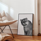 Snarling Lioness Poster – i rum 3
