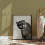 Snarling Lioness Poster – i rum 4