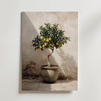 Tuscan Lemon Poster – citronträd i terrakottakruka mot putsad vägg